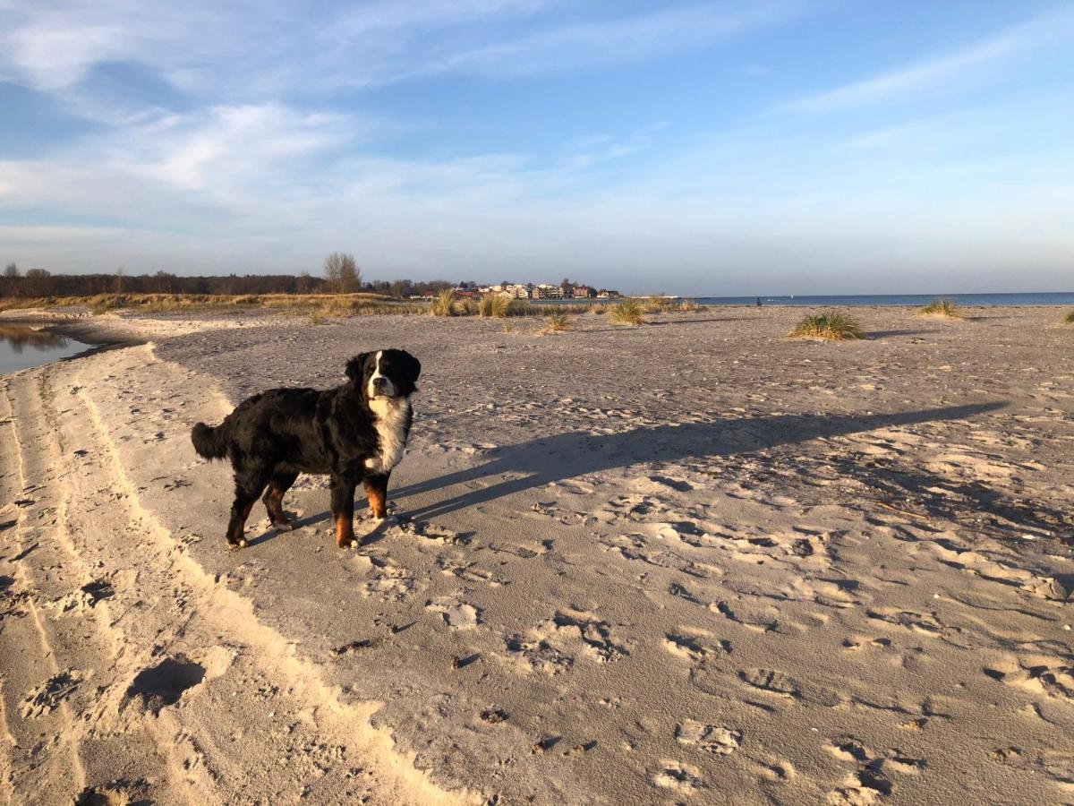 Ferienwohnung „Die Koje“ Hohwacht/Ostsee Екстериор снимка